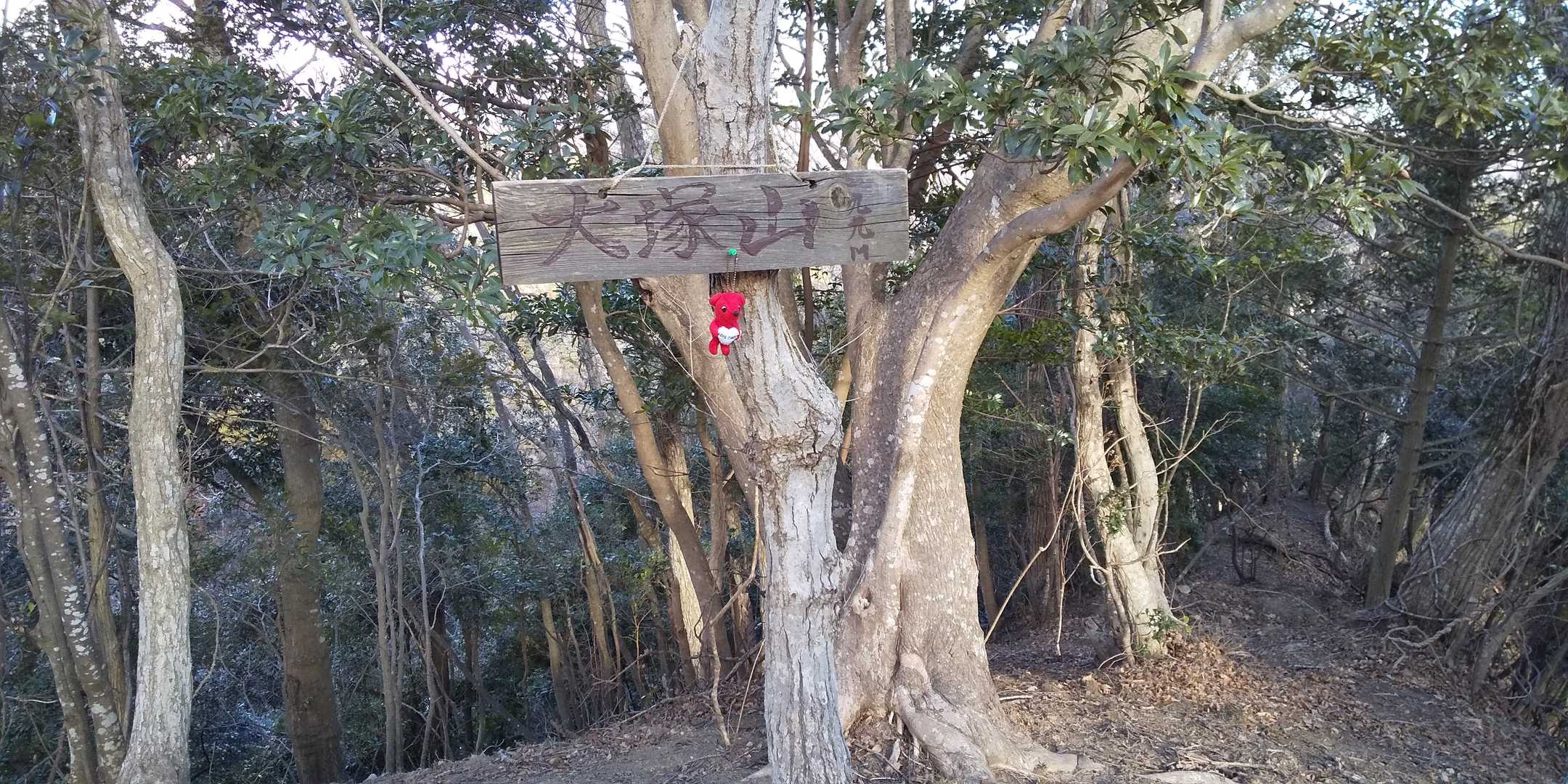 関大塚山頂