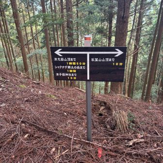 秋葉山に行きます