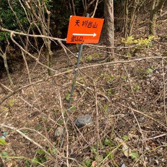 オレンジ看板があちこちにあって心強かった｡