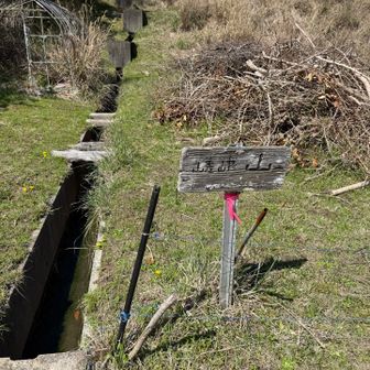 この前に大きく、道迷い
めげずに、走ります。