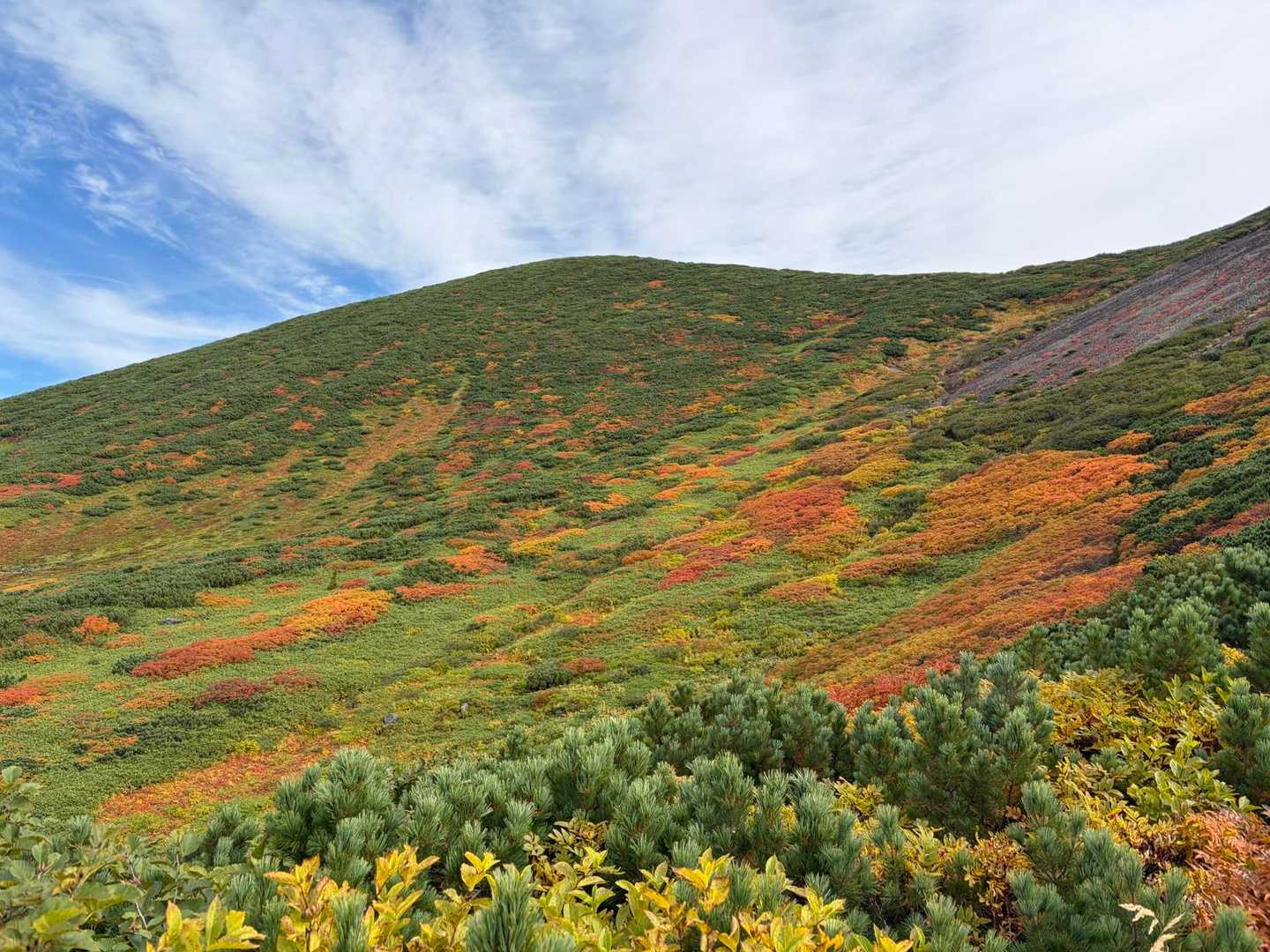 快晴で紅葉が綺麗でした
