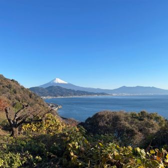 富士山が絶景✨