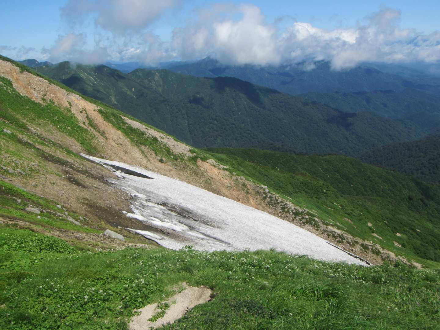 万年雪