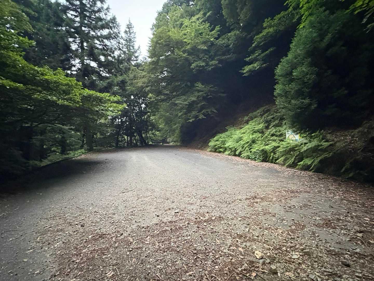 五合目登山口へ到着💦
まだ車は入れないのかな？🤔

しっかし登山道は風が無く蒸し暑い…🥵