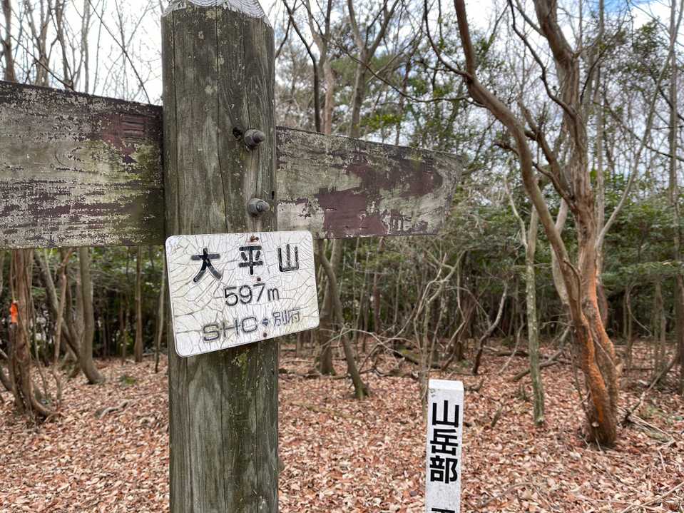 大平山に到着～❗️
92年発刊の旧版九州百名山で
リストアップされてました👏🏻
展望は皆無😂