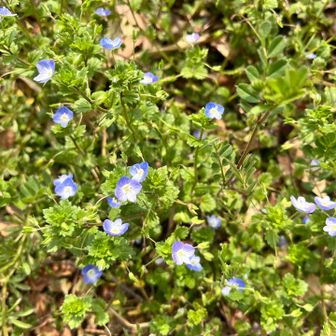 ここからは駐車場へと戻っていきます