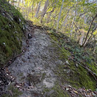 国見山へ登って行きますー
少しだけ岩々