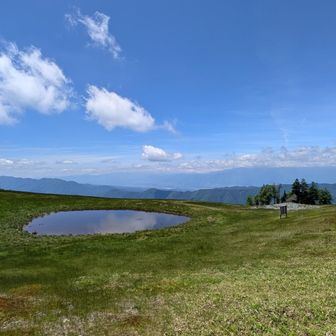 つじ