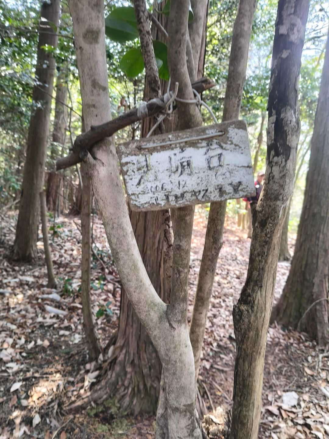 見晴らし台