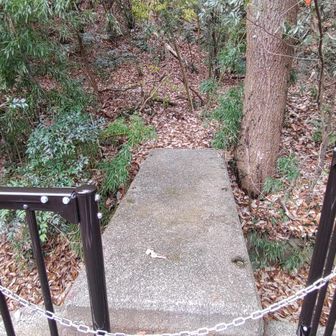 到着!!
ジャスト2時間( *´艸`)