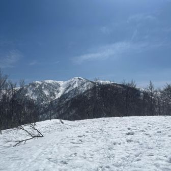 下山途中に振り返る。よく登ったなぁ。だいたい自分の今の限界値が分かってきた。今日の山行くらいで精一杯。