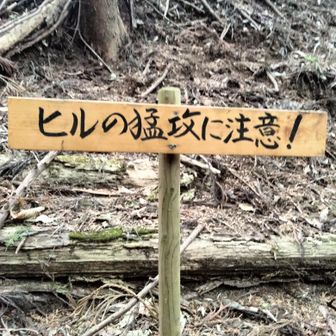50歳から本格筋トレ＆登山