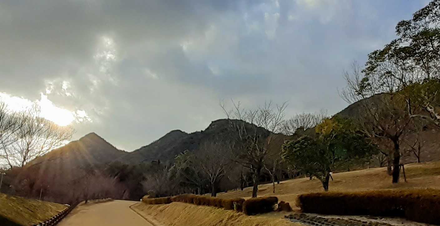 セミナーパークの裏に出てきた
今日登った山