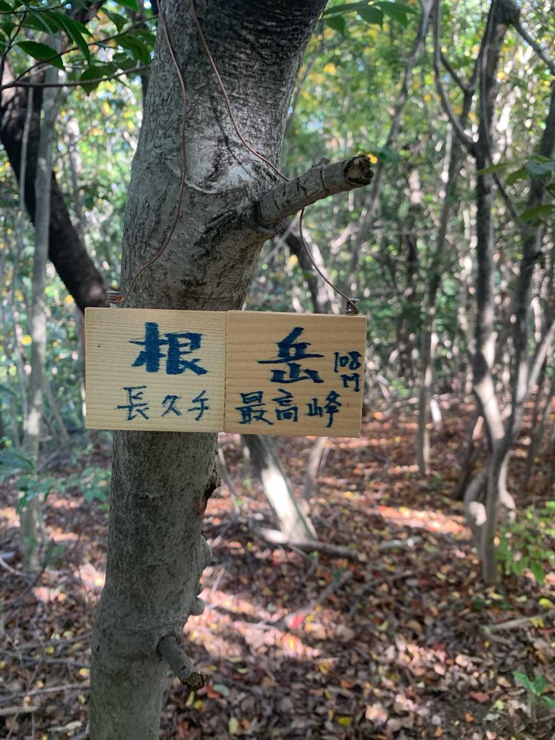 山頂標識が😅
長久手最高峰✨✨