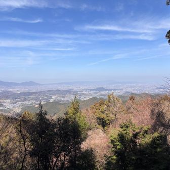 としつん