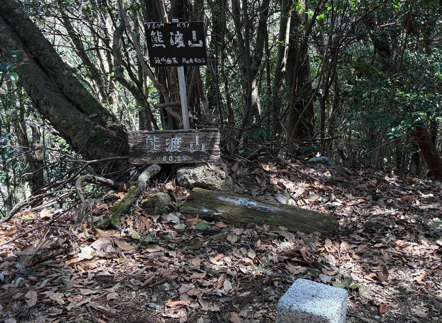 熊渡山山頂🎶

山頂は広くなってますが、ほぼ展望無し。
ここで軽くランチタイムして折り返します。