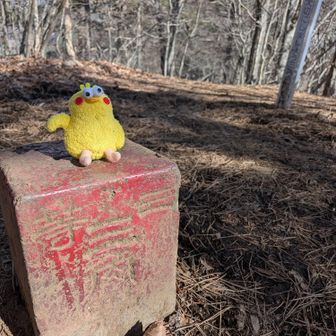 三等三角点発見！🫡