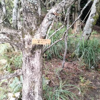 帰りは峠から亀山経由で下山します。