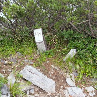 蔦山