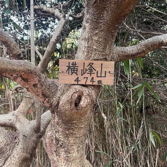 横峰山
きつかった〜！