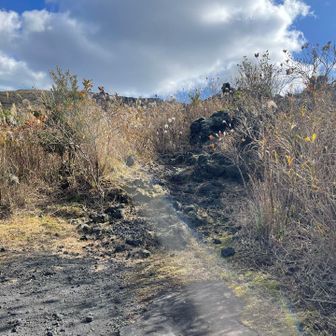 溶岩がここまで流れて来たなんて
きっと怖かったんでしょうね
よくここまで回復したかと
みんなの力💪
そして流石東京都！
