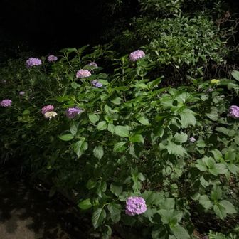 無事下山