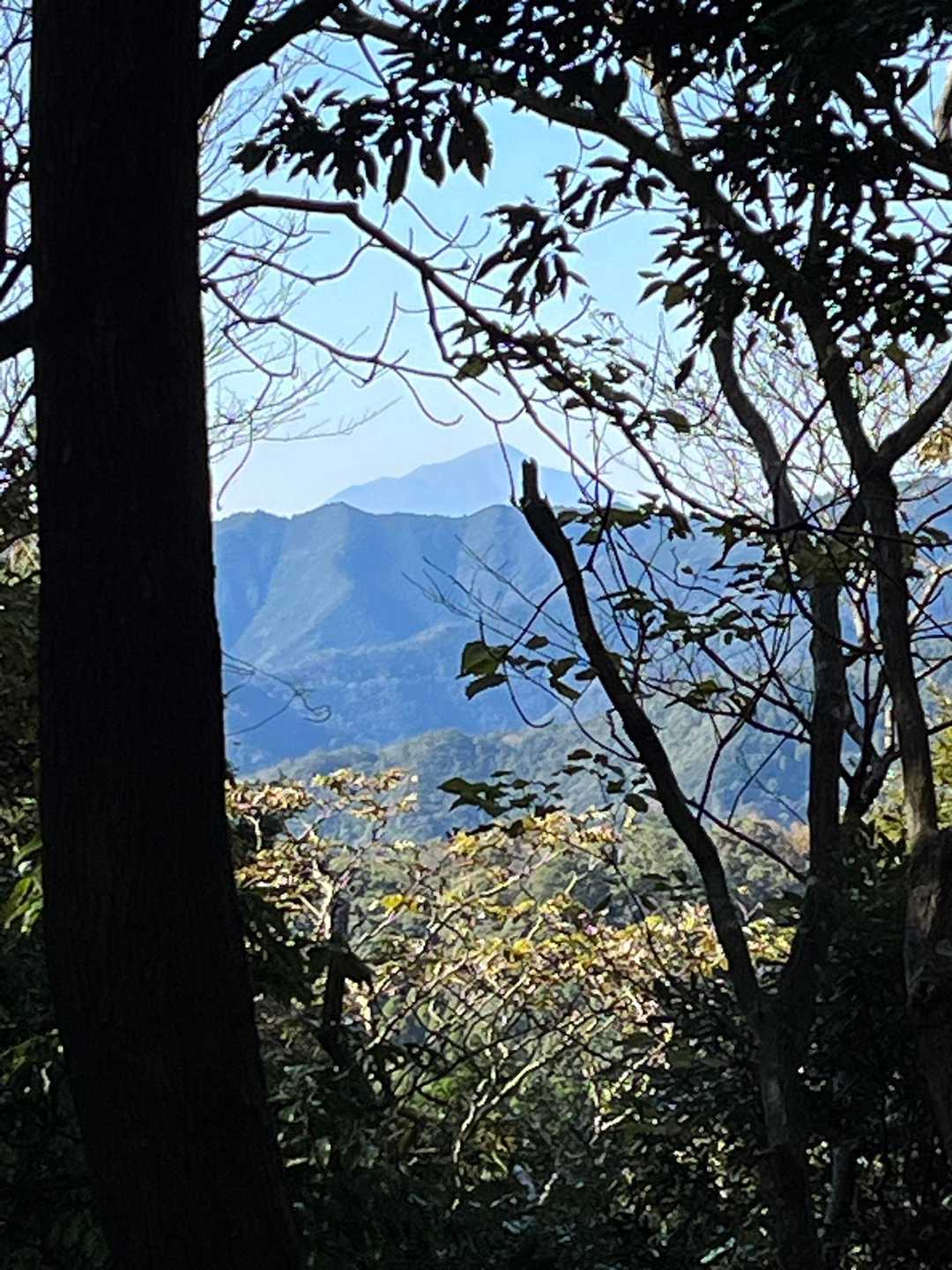 高千穂峰が見えました