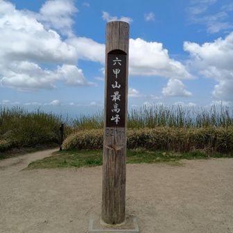 みゆき