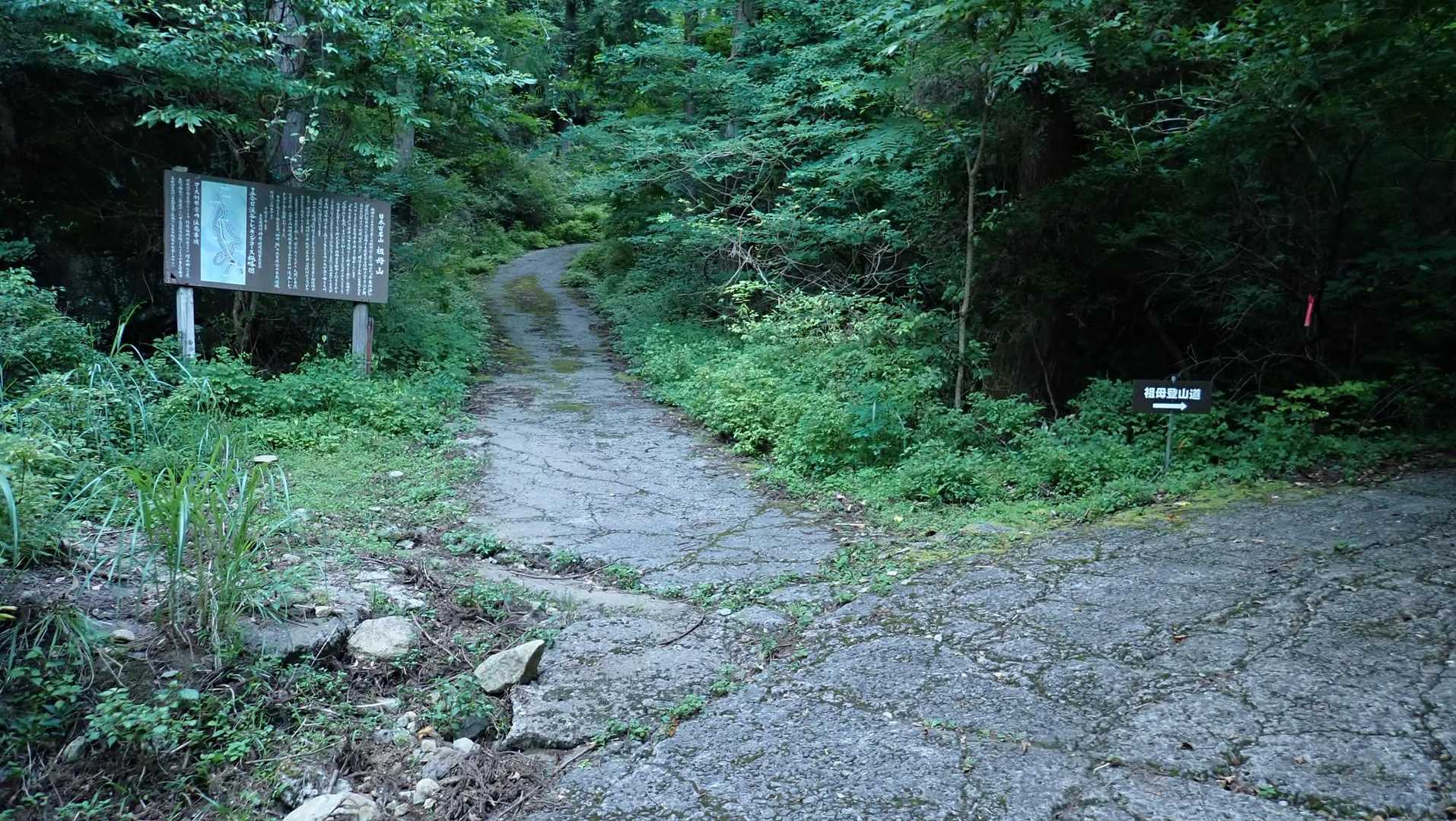 山頂は右だが、今日は左のトレッキングコースへ。