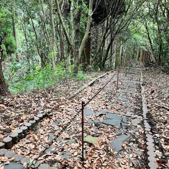 階段で振り返る