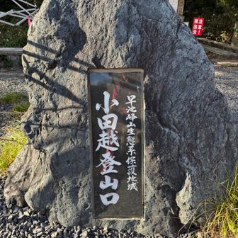 この後、、、ロードをテクテク、、
途中からスイッチ入って、
ずーっと小走りになっちゃった、、

下り坂は、勝手に進みます😂🤣