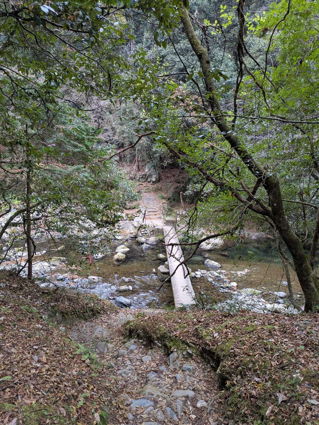 栂ノ尾バス停-白雲橋-福ヶ谷林道登山口-槙ノ尾バス停-愛宕 縦走コースの写真