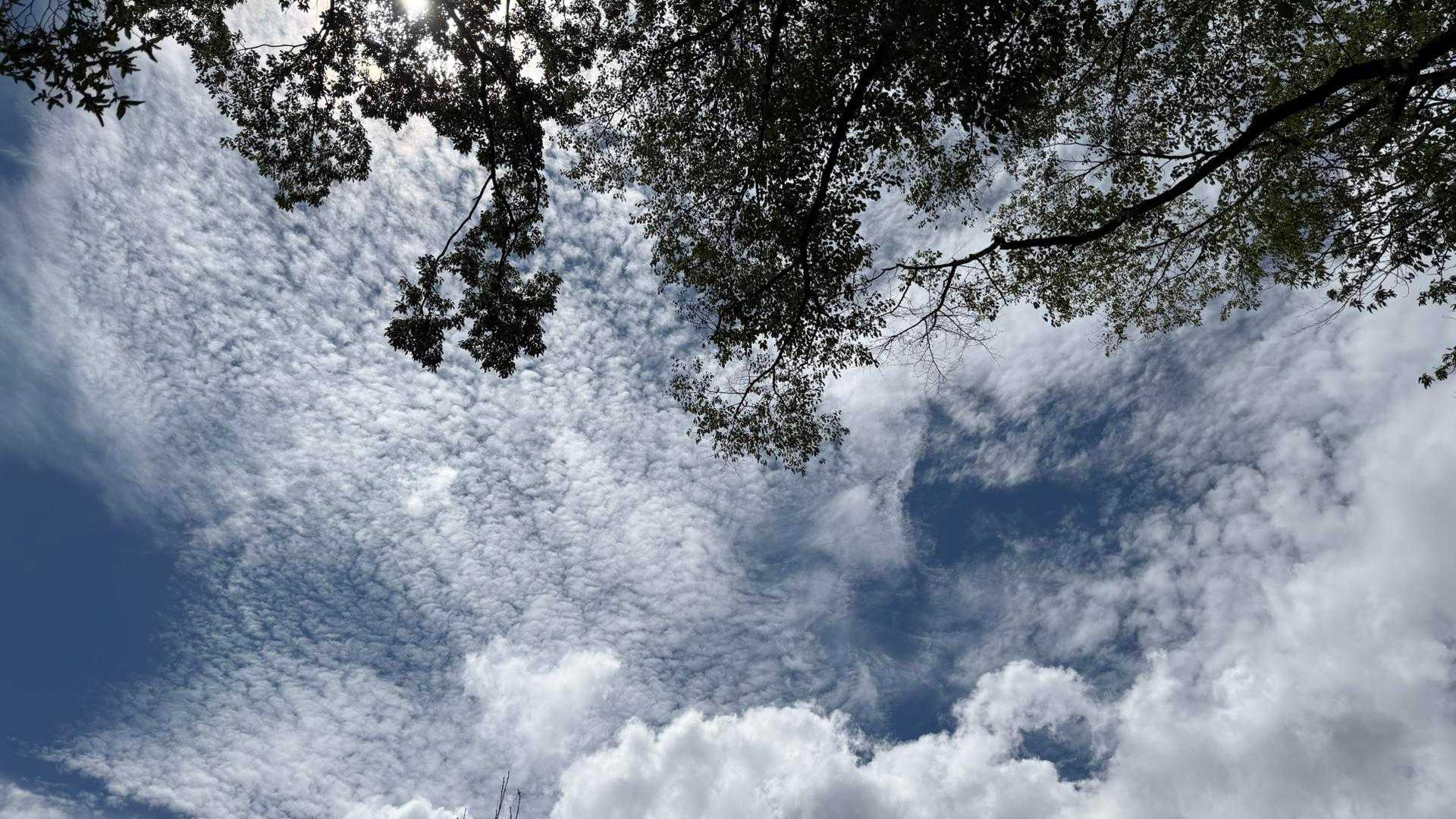 日の出山 往復コースの写真