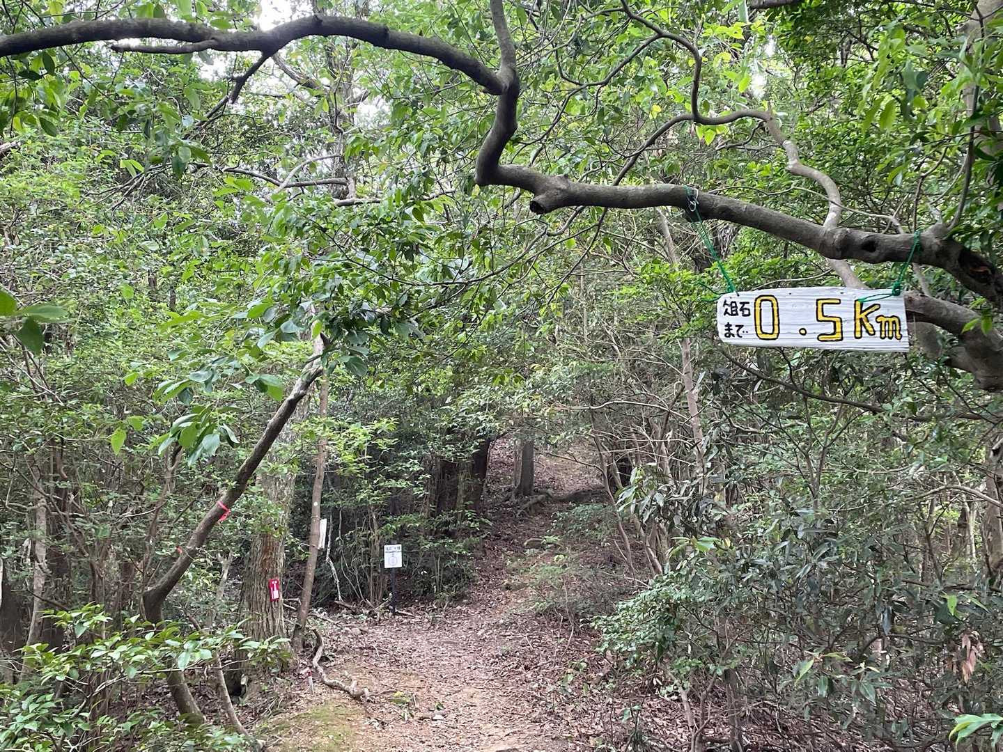 あと0.5キロ！
