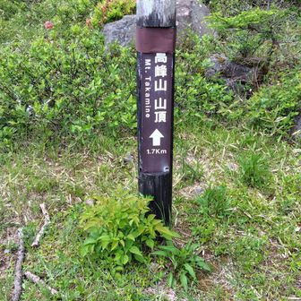 ここから最後のお仕事