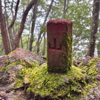 苔生す山柱 