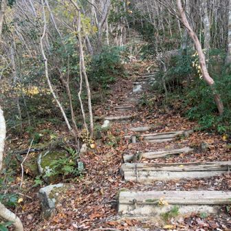 なかなかの勾配