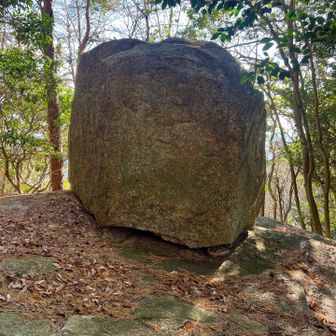 この岩🪨
パワースポットなん？
合掌🙏
