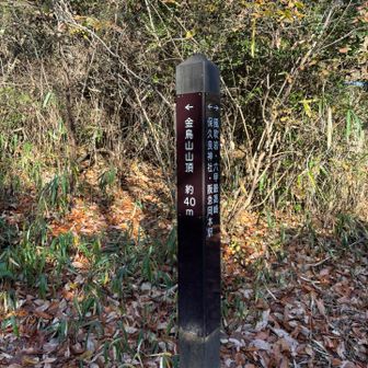 新しい看板増えましたね✨