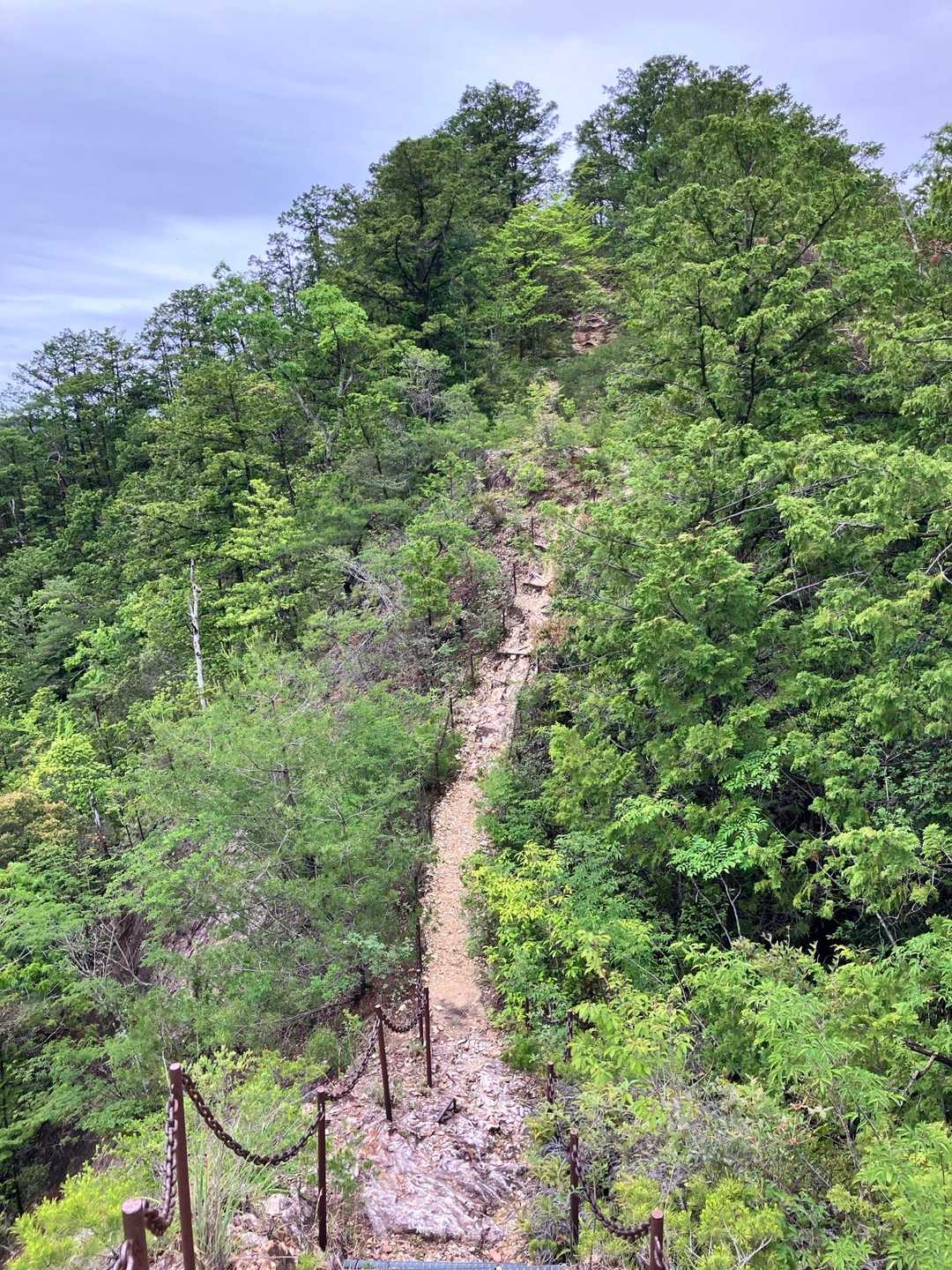 宇連山と言ったらコレですね✨
最初の頃はコレに憧れて来てました