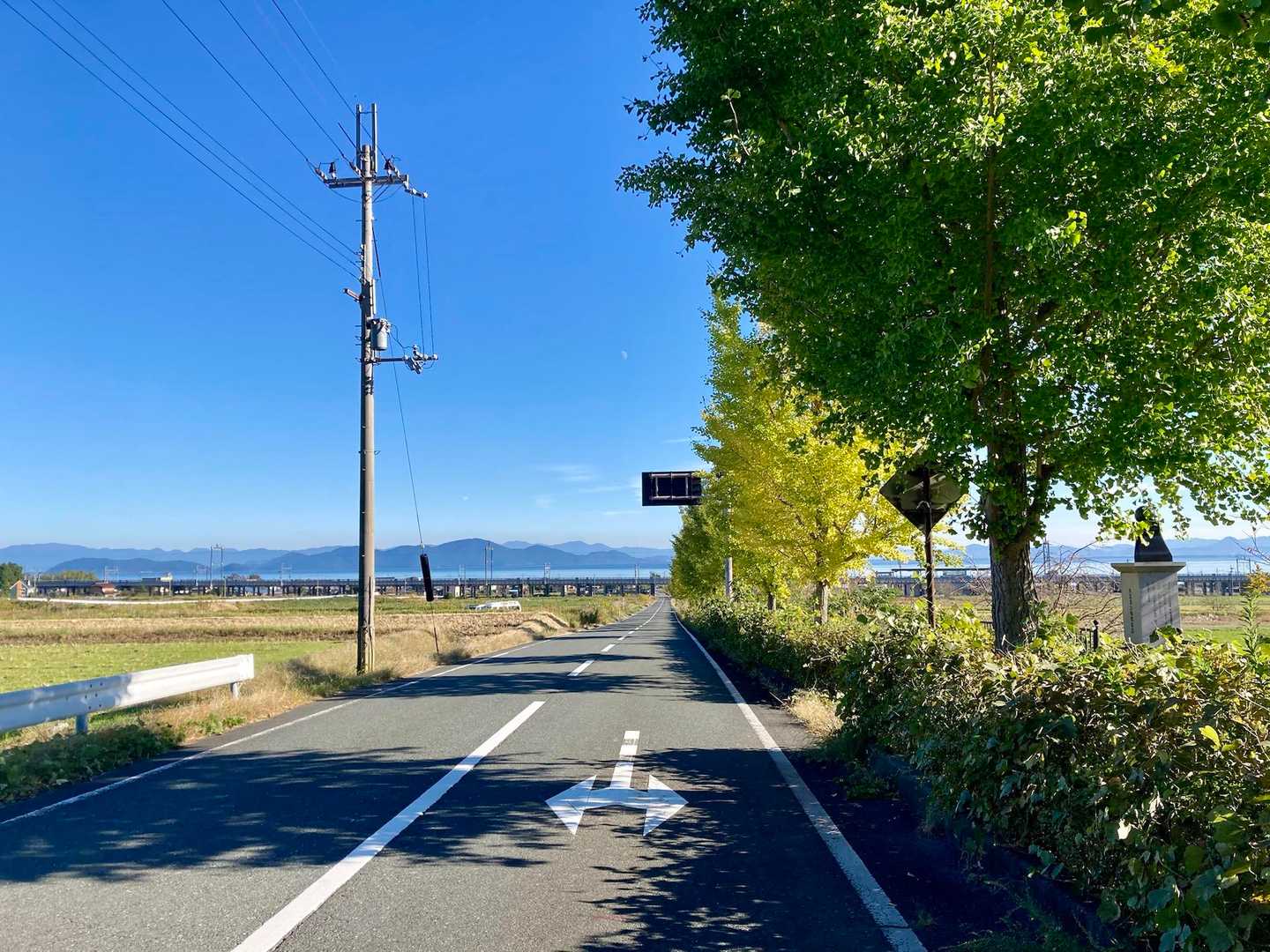 テクテクテクテクテク…🥾
銀杏並木をひたすら歩く🚶‍♂️🚶‍♀️