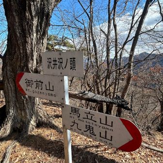ピーク②
沢井沢ノ頭⛰️740㍍
後ろに焦げた木🪾💦

熊の心配が無ければ、九鬼山にも挑戦したいな👹