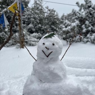 せっかくなので作ってみました☃️