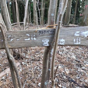タコチバ山の頂上到着。

最初、道案内かとか思ったら、小さく頂上の名前が書いて有りました。