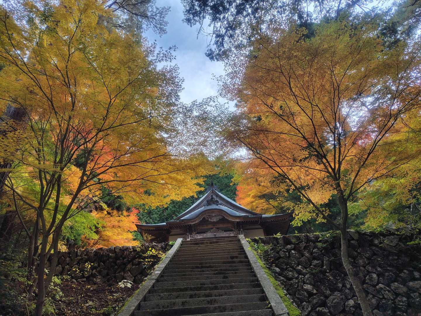 高烏谷神社紅葉情報