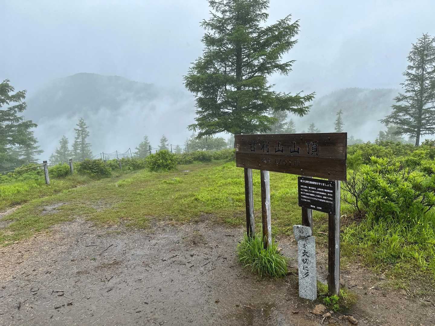 甘利山 山頂 ⛰️
後ろにうっすら千頭星山が見えます。