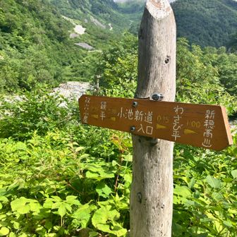 登山道入り口まで戻ってきました。