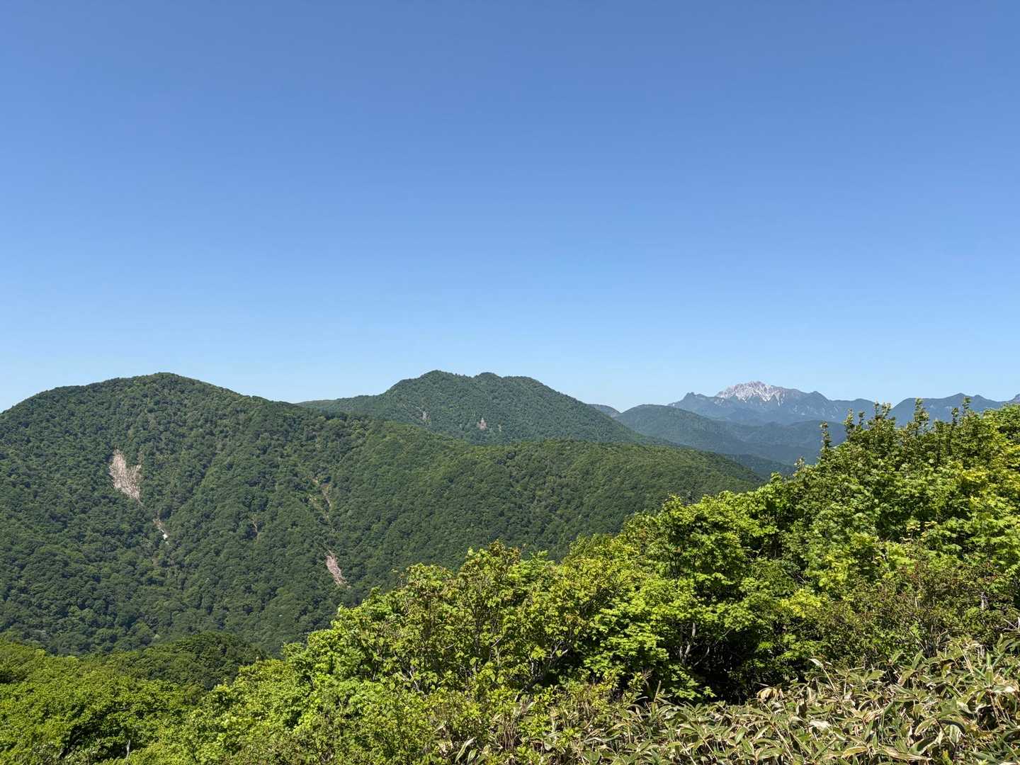 振り返り蒜山ブルー🟦