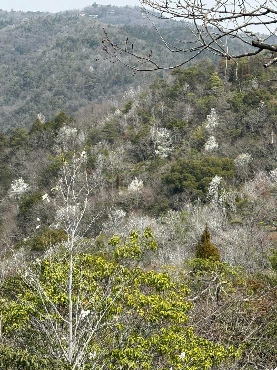 三石城登山口-城山-城山登山道舟坂入口-靇神社-三石駅 周回コースの写真