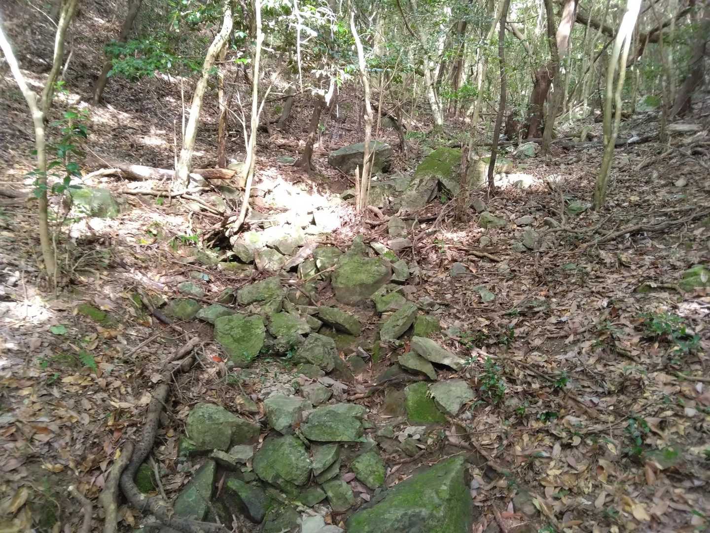 破線へ向け谷を登りました。